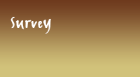 Survey